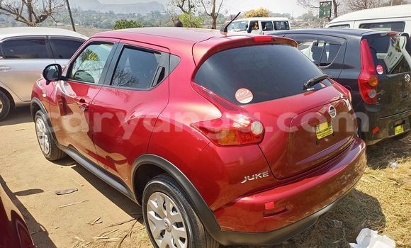 Acheter Occasion Voiture Nissan Juke Rouge à Blantyre, Malawi Acheter Occasion Voiture Nissan Juke Rouge à Blantyre, Malawi