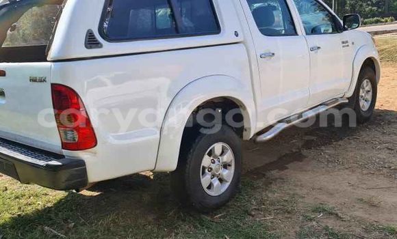 Acheter Occasion Voiture Toyota Hilux Blanc à Blantyre, Malawi Acheter Occasion Voiture Toyota Hilux Blanc à Blantyre, Malawi