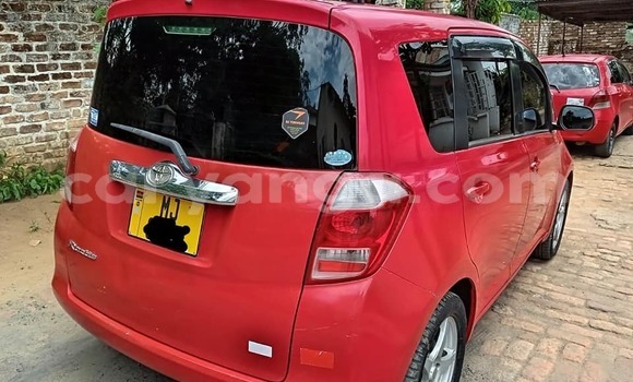 Buy Used Toyota Ractis Red Car in Blantyre in Malawi Buy Used Toyota Ractis Red Car in Blantyre in Malawi