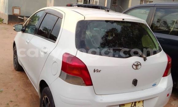 Buy Used Toyota Vitz White Car in Blantyre in Malawi Buy Used Toyota Vitz White Car in Blantyre in Malawi