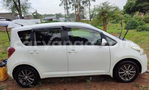 Buy Used Toyota Ractis White Car in Blantyre in Malawi Buy Used Toyota Ractis White Car in Blantyre in Malawi