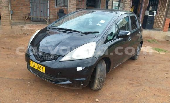 Buy Used Honda FIT Black Car in Blantyre in Malawi Buy Used Honda FIT Black Car in Blantyre in Malawi