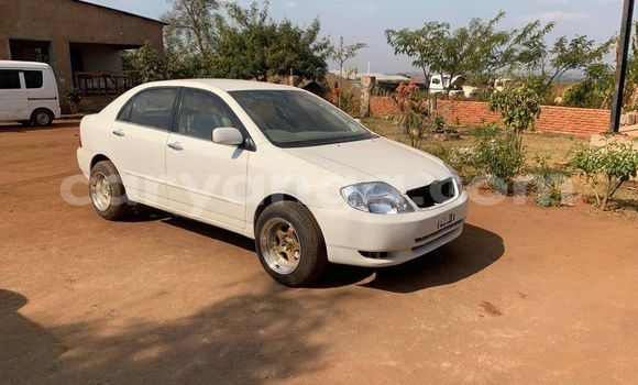 Acheter Occasion Voiture Toyota Corolla Blanc à Lilongwe, Malawi Acheter Occasion Voiture Toyota Corolla Blanc à Lilongwe, Malawi