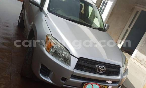 Nunua Ilio tumika Toyota RAV4 Silver Gari ndani ya Lilongwe nchini Malawi Nunua Ilio tumika Toyota RAV4 Silver Gari ndani ya Lilongwe nchini Malawi