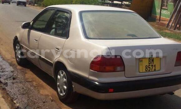 Buy Used Toyota Corolla Black Car in Limbe in Malawi Buy Used Toyota Corolla Black Car in Limbe in Malawi