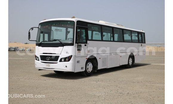 Buy Import Tata Xenon White Car in Import - Dubai in Malawi