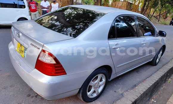 Buy Used Toyota Corolla Silver Car in Blantyre in Malawi Buy Used Toyota Corolla Silver Car in Blantyre in Malawi