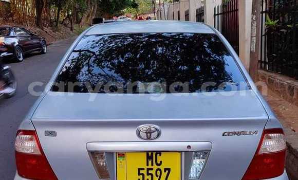 Buy Used Toyota Corolla Silver Car in Blantyre in Malawi Buy Used Toyota Corolla Silver Car in Blantyre in Malawi
