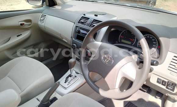 Buy Used Toyota Axio White Car in Blantyre in Malawi Buy Used Toyota Axio White Car in Blantyre in Malawi