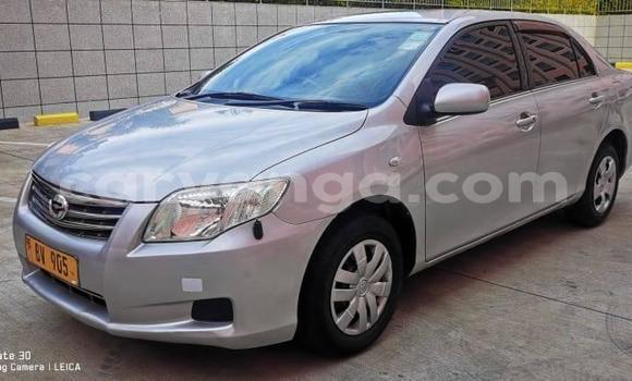 Nunua Ilio tumika Toyota Axio Silver Gari ndani ya Blantyre nchini Malawi Nunua Ilio tumika Toyota Axio Silver Gari ndani ya Blantyre nchini Malawi