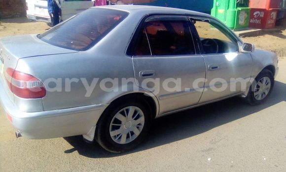 Nunua Ilio tumika Toyota Corolla Silver Gari ndani ya Blantyre nchini Malawi Nunua Ilio tumika Toyota Corolla Silver Gari ndani ya Blantyre nchini Malawi