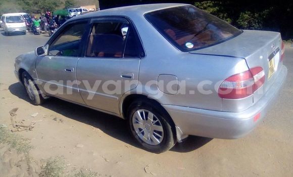 Nunua Ilio tumika Toyota Corolla Silver Gari ndani ya Blantyre nchini Malawi Nunua Ilio tumika Toyota Corolla Silver Gari ndani ya Blantyre nchini Malawi