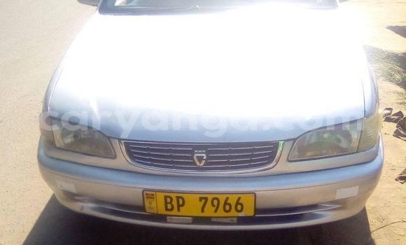 Nunua Ilio tumika Toyota Corolla Silver Gari ndani ya Blantyre nchini Malawi Nunua Ilio tumika Toyota Corolla Silver Gari ndani ya Blantyre nchini Malawi