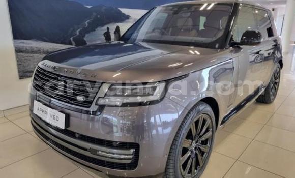 Buy Used Range Rover Range Rover Silver Car in Blantyre in Malawi