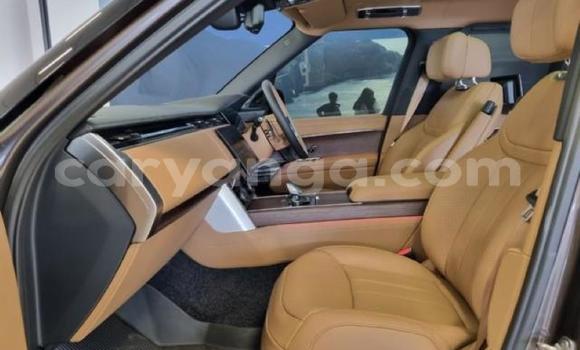 Nunua Ilio tumika Range Rover Range Rover Silver Gari ndani ya Blantyre nchini Malawi Nunua Ilio tumika Range Rover Range Rover Silver Gari ndani ya Blantyre nchini Malawi