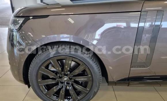 Nunua Ilio tumika Range Rover Range Rover Silver Gari ndani ya Blantyre nchini Malawi Nunua Ilio tumika Range Rover Range Rover Silver Gari ndani ya Blantyre nchini Malawi