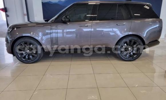 Nunua Ilio tumika Range Rover Range Rover Silver Gari ndani ya Blantyre nchini Malawi Nunua Ilio tumika Range Rover Range Rover Silver Gari ndani ya Blantyre nchini Malawi