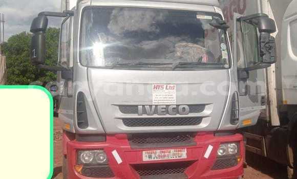 Buy New Iveco Cargo Red Truck in Lilongwe in Malawi Buy New Iveco Cargo Red Truck in Lilongwe in Malawi