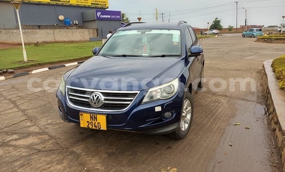 Buy Used Volkswagen Tiguan Blue Car in Lilongwe in Malawi Buy Used Volkswagen Tiguan Blue Car in Lilongwe in Malawi
