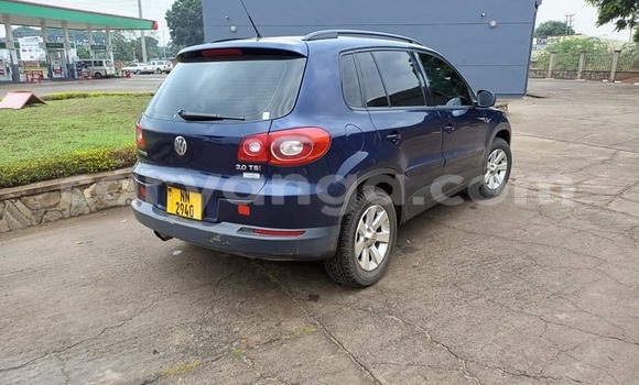 Buy Used Volkswagen Tiguan Blue Car in Lilongwe in Malawi Buy Used Volkswagen Tiguan Blue Car in Lilongwe in Malawi