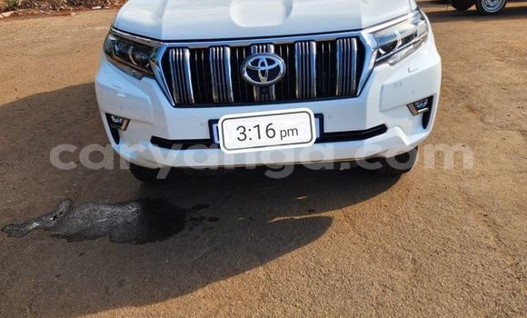 Buy Used Toyota Land Cruiser Prado White Car in Blantyre in Malawi