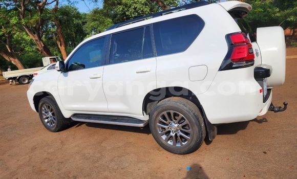 Nunua Ilio tumika Toyota Land Cruiser Prado White Gari ndani ya Blantyre nchini Malawi Nunua Ilio tumika Toyota Land Cruiser Prado White Gari ndani ya Blantyre nchini Malawi