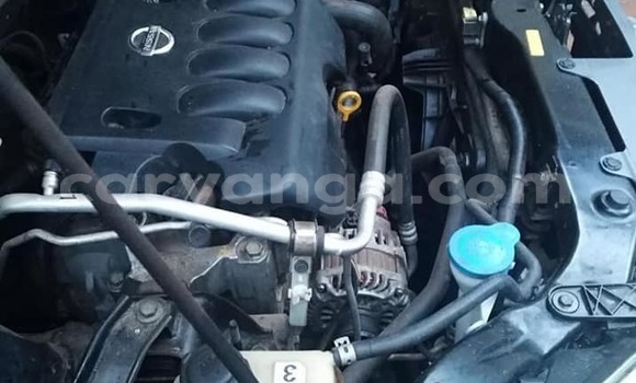 Acheter Occasion Voiture Nissan Dualis Noir à Blantyre, Malawi Acheter Occasion Voiture Nissan Dualis Noir à Blantyre, Malawi