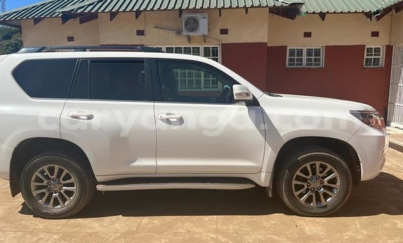 Acheter Occasion Voiture Toyota Land Cruiser Prado Blanc à Blantyre, Malawi Acheter Occasion Voiture Toyota Land Cruiser Prado Blanc à Blantyre, Malawi