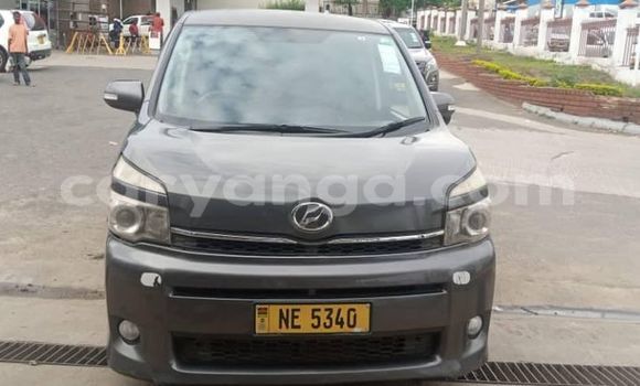 Nunua Ilio tumika Toyota Voxy Black Gari ndani ya Blantyre nchini Malawi Nunua Ilio tumika Toyota Voxy Black Gari ndani ya Blantyre nchini Malawi