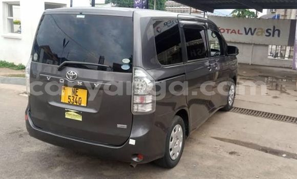 Nunua Ilio tumika Toyota Voxy Black Gari ndani ya Blantyre nchini Malawi Nunua Ilio tumika Toyota Voxy Black Gari ndani ya Blantyre nchini Malawi