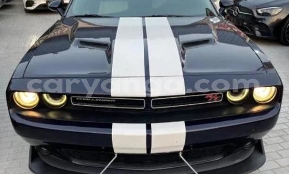 Buy Used Dodge Challenger Black Car in Blantyre in Malawi
