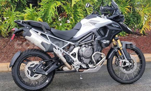 Acheter Occasion Moto Triumph Tiger Noir à Dowa, Dowa Acheter Occasion Moto Triumph Tiger Noir à Dowa, Dowa