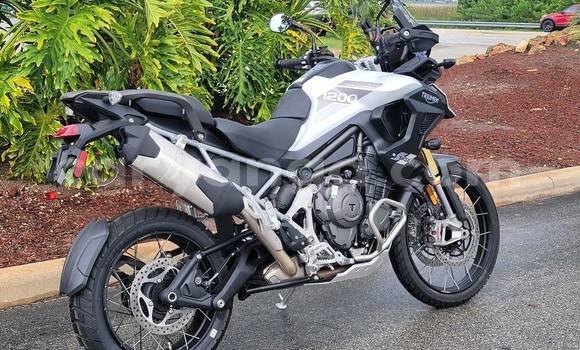 Acheter Occasion Moto Triumph Tiger Noir à Dowa, Dowa Acheter Occasion Moto Triumph Tiger Noir à Dowa, Dowa