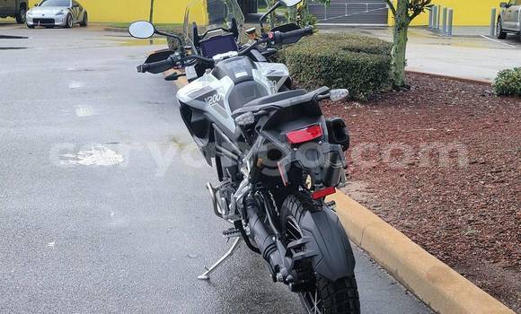 Acheter Occasion Moto Triumph Tiger Noir à Dowa, Dowa Acheter Occasion Moto Triumph Tiger Noir à Dowa, Dowa