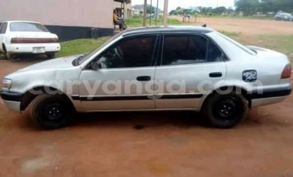 Buy Used Toyota Corolla Silver Car in Blantyre in Malawi Buy Used Toyota Corolla Silver Car in Blantyre in Malawi