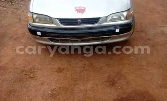 Buy Used Toyota Corolla Silver Car in Blantyre in Malawi Buy Used Toyota Corolla Silver Car in Blantyre in Malawi