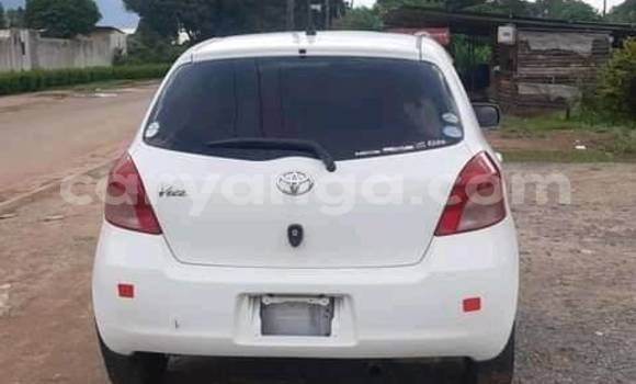 Buy Used Toyota Vitz White Car in Mwanza in Mwanza Buy Used Toyota Vitz White Car in Mwanza in Mwanza