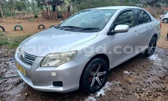 Buy Used Toyota Axio Silver Car in Dowa in Dowa Buy Used Toyota Axio Silver Car in Dowa in Dowa