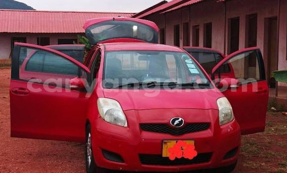 Buy Used Toyota Vitz Red Car in Dowa in Dowa Buy Used Toyota Vitz Red Car in Dowa in Dowa