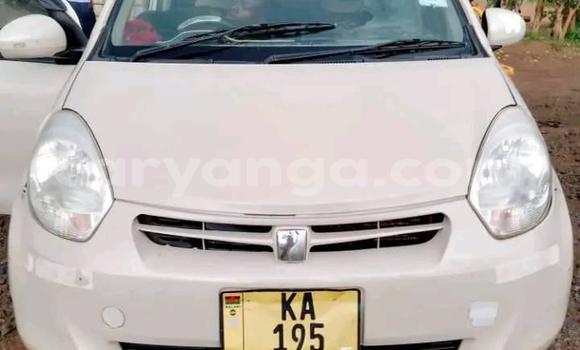 Buy Used Toyota Passo Beige Car in Dowa in Dowa Buy Used Toyota Passo Beige Car in Dowa in Dowa