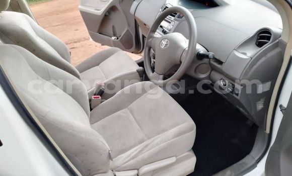 Buy Used Toyota Vitz White Car in Dowa in Dowa Buy Used Toyota Vitz White Car in Dowa in Dowa