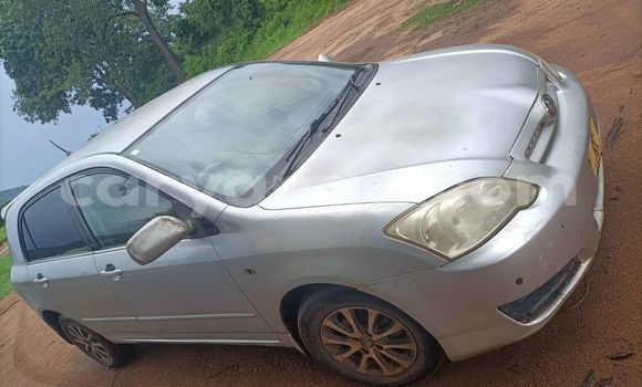 Nunua Ilio tumika Toyota Allex Silver Gari ndani ya Mangochi nchini Malawi Nunua Ilio tumika Toyota Allex Silver Gari ndani ya Mangochi nchini Malawi