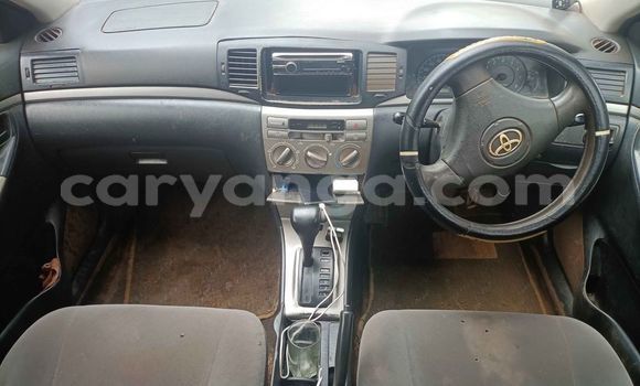 Nunua Ilio tumika Toyota Allex Silver Gari ndani ya Mangochi nchini Malawi Nunua Ilio tumika Toyota Allex Silver Gari ndani ya Mangochi nchini Malawi