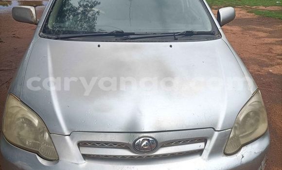 Nunua Ilio tumika Toyota Allex Silver Gari ndani ya Mangochi nchini Malawi Nunua Ilio tumika Toyota Allex Silver Gari ndani ya Mangochi nchini Malawi