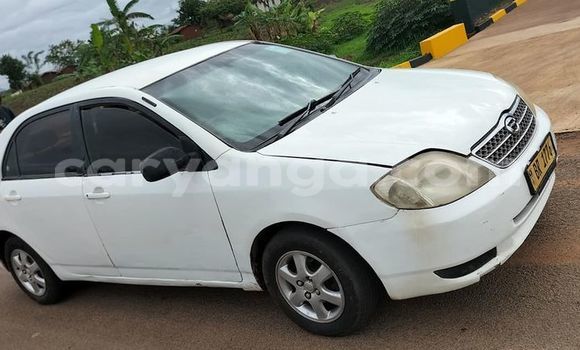 Nunua Ilio tumika Toyota Corolla White Gari ndani ya Mangochi nchini Malawi Nunua Ilio tumika Toyota Corolla White Gari ndani ya Mangochi nchini Malawi