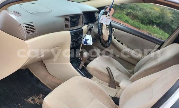 Nunua Ilio tumika Toyota Corolla White Gari ndani ya Mangochi nchini Malawi Nunua Ilio tumika Toyota Corolla White Gari ndani ya Mangochi nchini Malawi
