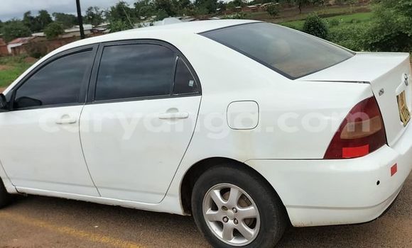 Nunua Ilio tumika Toyota Corolla White Gari ndani ya Mangochi nchini Malawi Nunua Ilio tumika Toyota Corolla White Gari ndani ya Mangochi nchini Malawi
