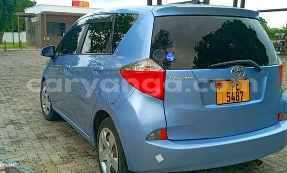 Buy Used Toyota Ractis Blue Car in Blantyre in Malawi Buy Used Toyota Ractis Blue Car in Blantyre in Malawi
