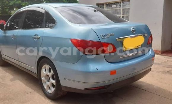 Buy Used Nissan Bluebird Blue Car in Blantyre in Malawi Buy Used Nissan Bluebird Blue Car in Blantyre in Malawi