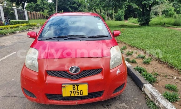 Buy Used Toyota Vitz Red Car in Blantyre in Malawi Buy Used Toyota Vitz Red Car in Blantyre in Malawi